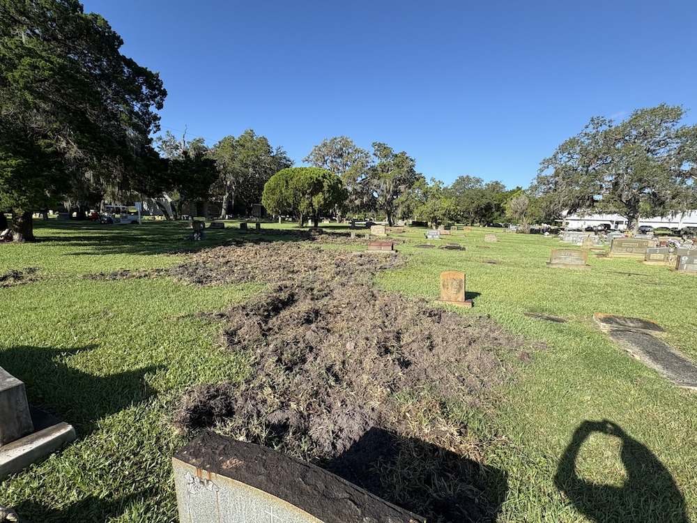 A cemetery with uprooted grass and disturbed soil in the foreground, surrounded by headstones and trees under a clear blue sky A person's shadow appears at the bottom right of the image