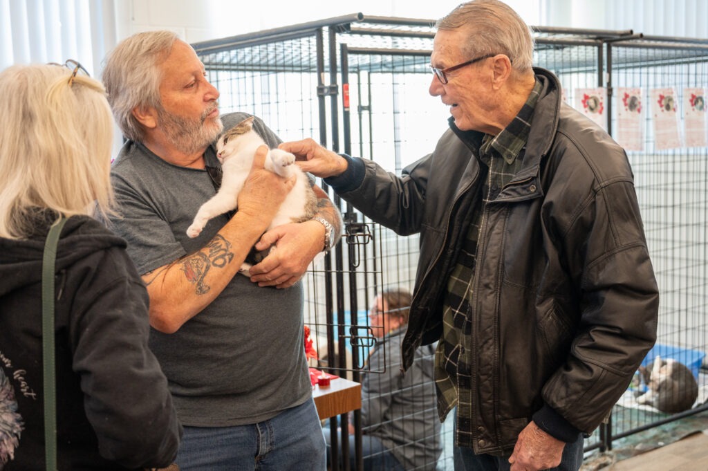 Three older adults interact near an animal shelter enclosure; one man holds a cat while another gently pets it, and a woman with white hair stands nearby, all appearing friendly and engaged