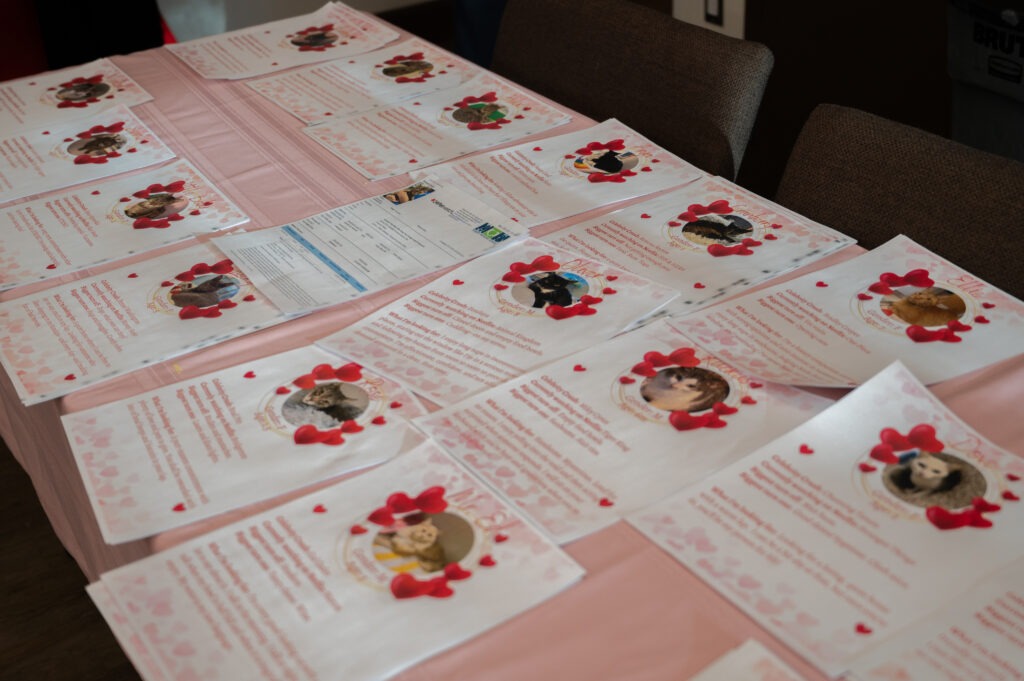 Several flyers with photos of animals, each surrounded by red hearts, are spread across a pink tablecloth The flyers contain text, likely pet adoption profiles, and an additional paper lies among them