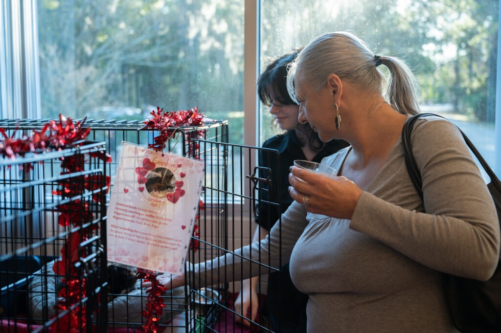 A woman with gray hair in a ponytail and hoop earrings looks into a decorated animal cage, holding a cup Another woman stands behind her The cage has red tinsel and a sign with hearts on it Sunlight comes through large windows
