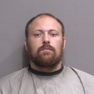 A man with short brown hair, a full beard, and a neutral expression is wearing a gray drape over his shoulders and posing against a plain gray background