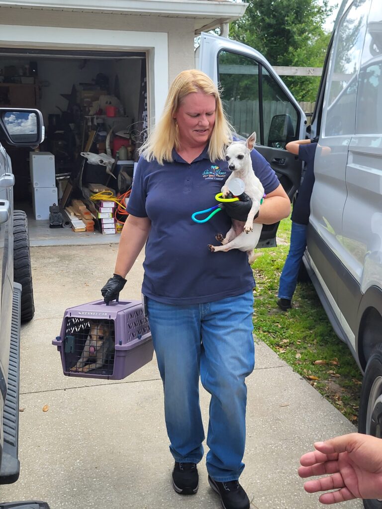 A woman in a navy polo and jeans carries a small white dog and a purple pet carrier with another animal inside, walking outdoors near vehicles and a garage filled with various items