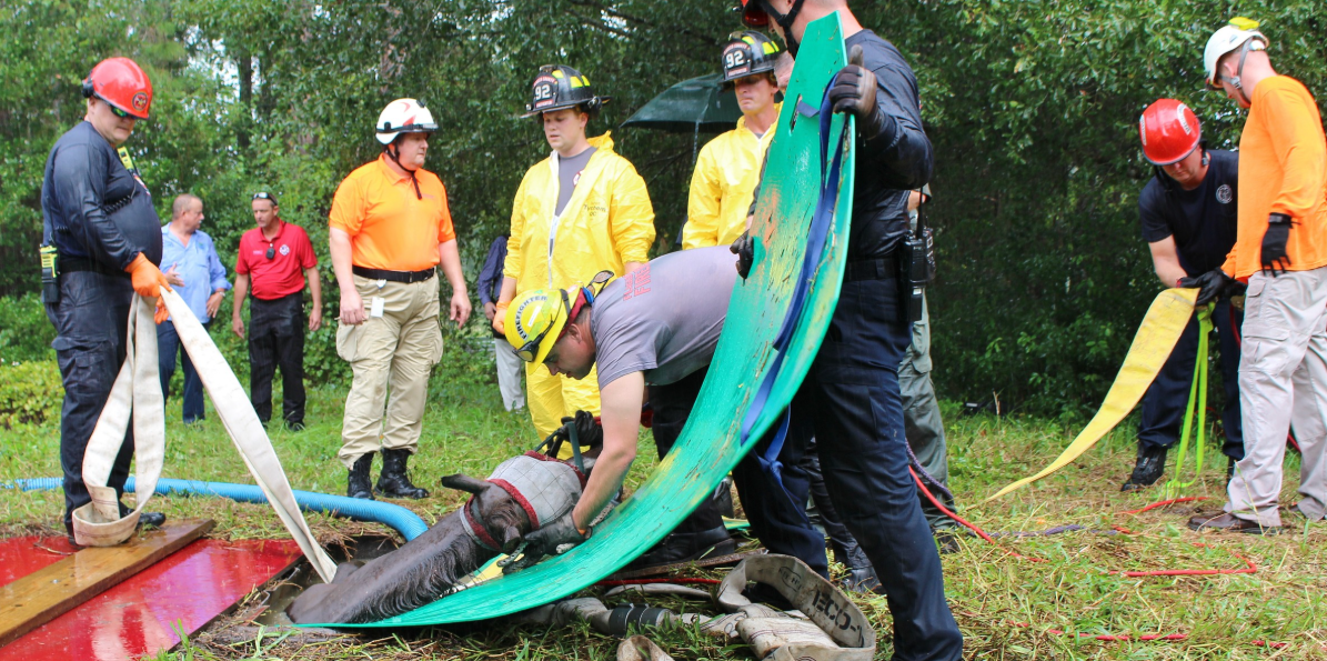 Firefighters and emergency workers rescue a horse from a muddy area using straps and a green tarp, while several people watch and assist outdoors in a grassy area